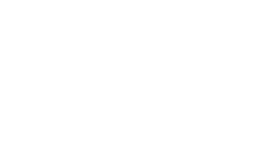 Andy Wolf logo
