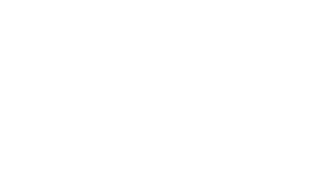 Andy Wolf logo