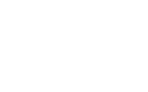feb31st logo