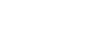 lowercase logo