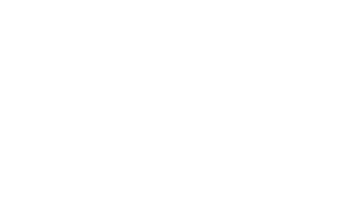 Vinylize logo